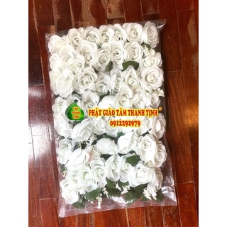 Bông hồng cài áo Vu Lan
