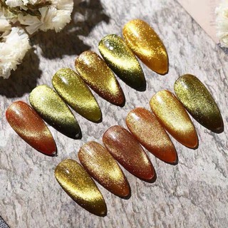 Sơn mắt mèo kim cương AS đồ nail giá rẻ hoài út Nail Store moonnals shop