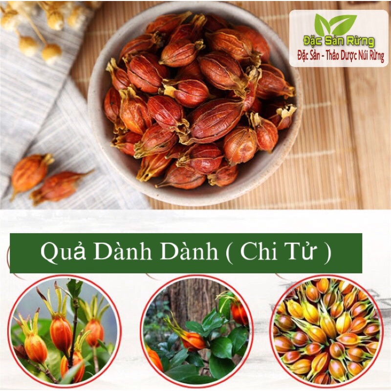 Quả Dành Dành  1kg - Sạch Khô , Đặc Sản Rừng