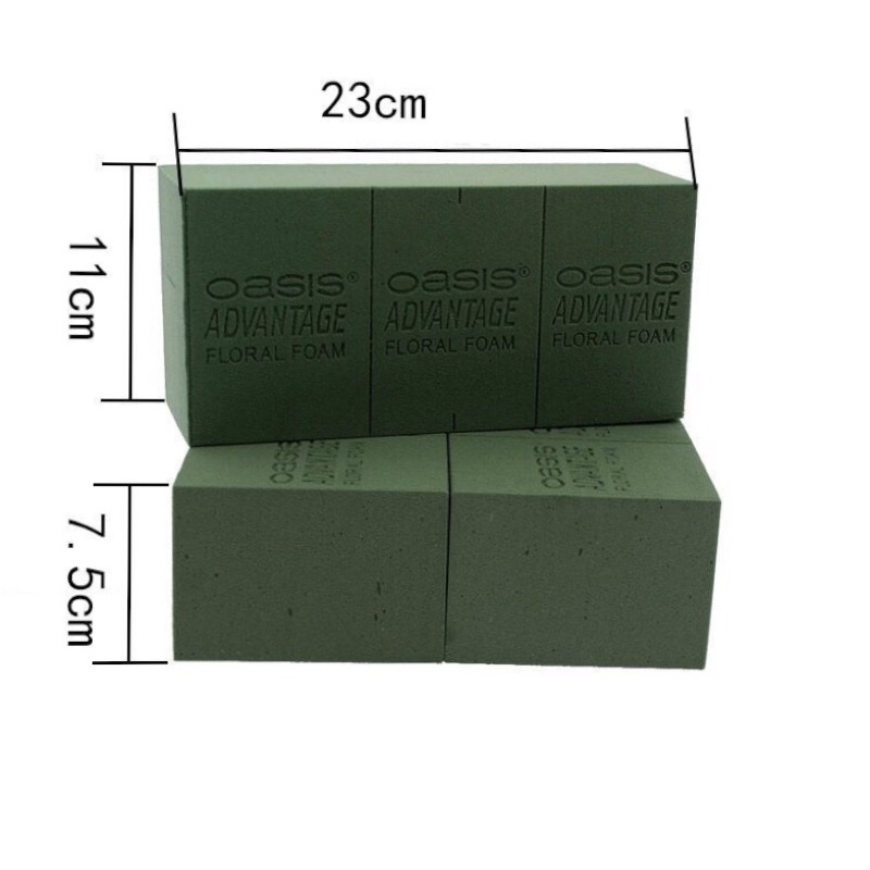 Mút xanh cắm hoa oasis