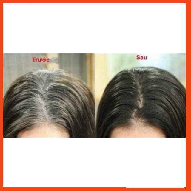 Dầu gội phủ bạc đen (nâu) tóc chính hãng Bibop Nhật Bản - Gội là đen tóc nâu tóc