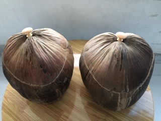 Vỏ ấm trà trái dừa nhà làm