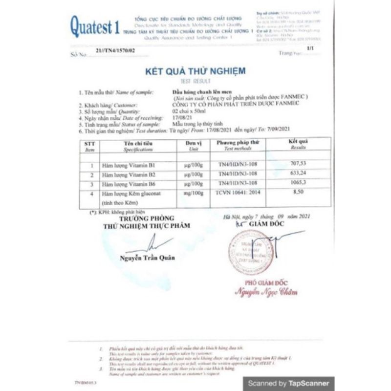 Dầu Húng Chanh Gold Lên Men - Mẫu mới nhất, chính hãng