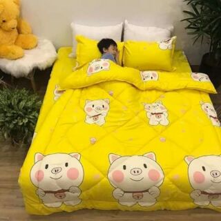 set chăn phao cotton poly