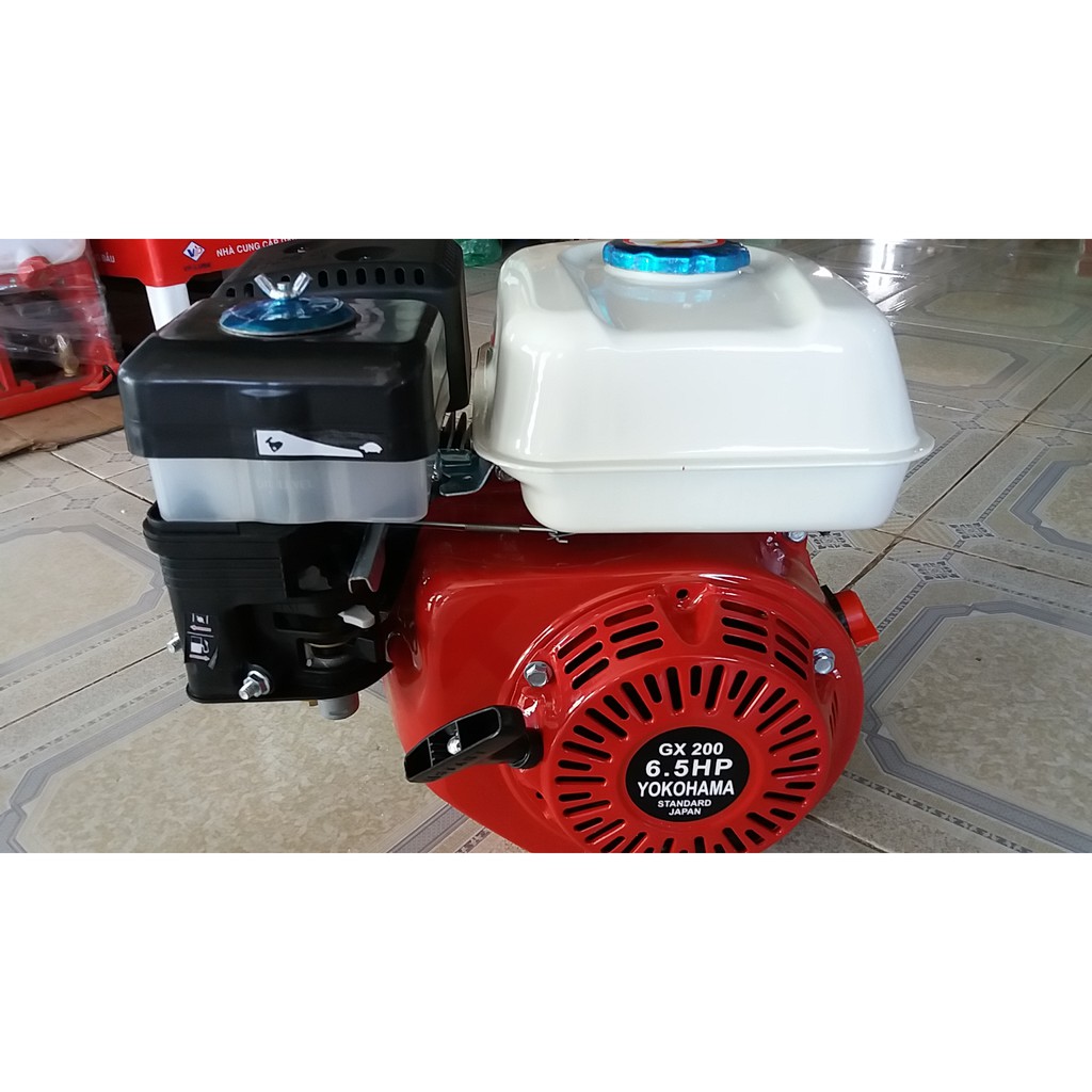 Động cơ xăng YOKOHAMA 6,5HP