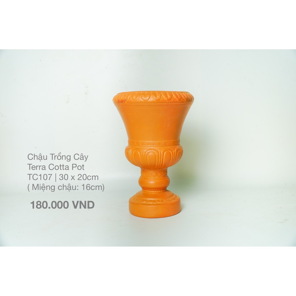 Cup Trồng Cây Đất Nung / Terra Cotta Pot  - TC107