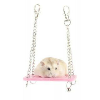 Xích đu gắng lồng cho hamster
