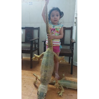 Gối thằn lằn 3D