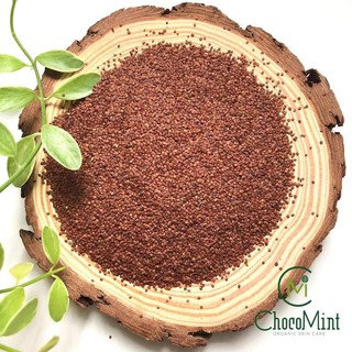 100GR Ngũ hoa hạt nguyên chất ( hạt ngũ hoa, hạt đình lịch ) - Handmade