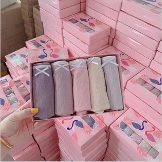Sét quần chip cotton