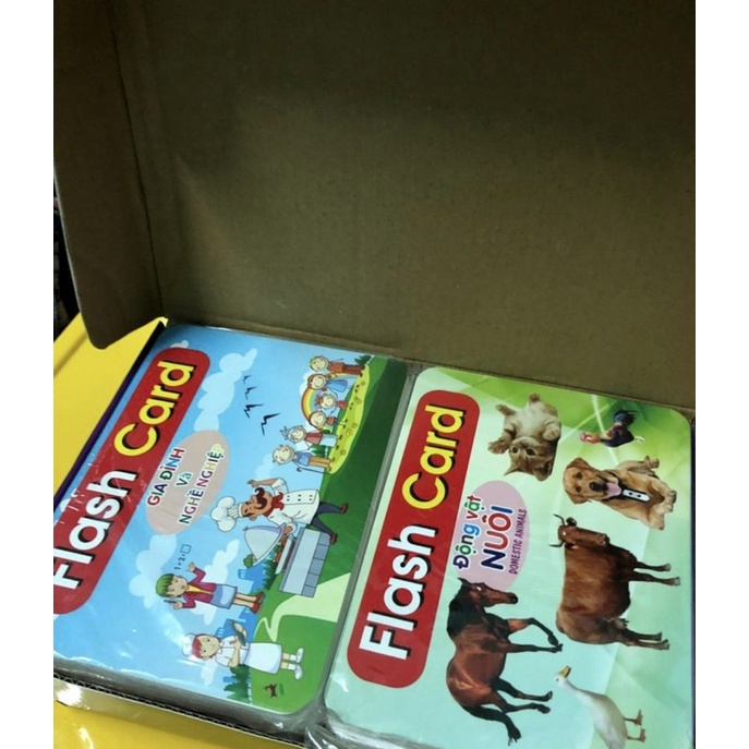 Thẻ học thông minh 19 chủ đề gồm 260 thẻ 12*16