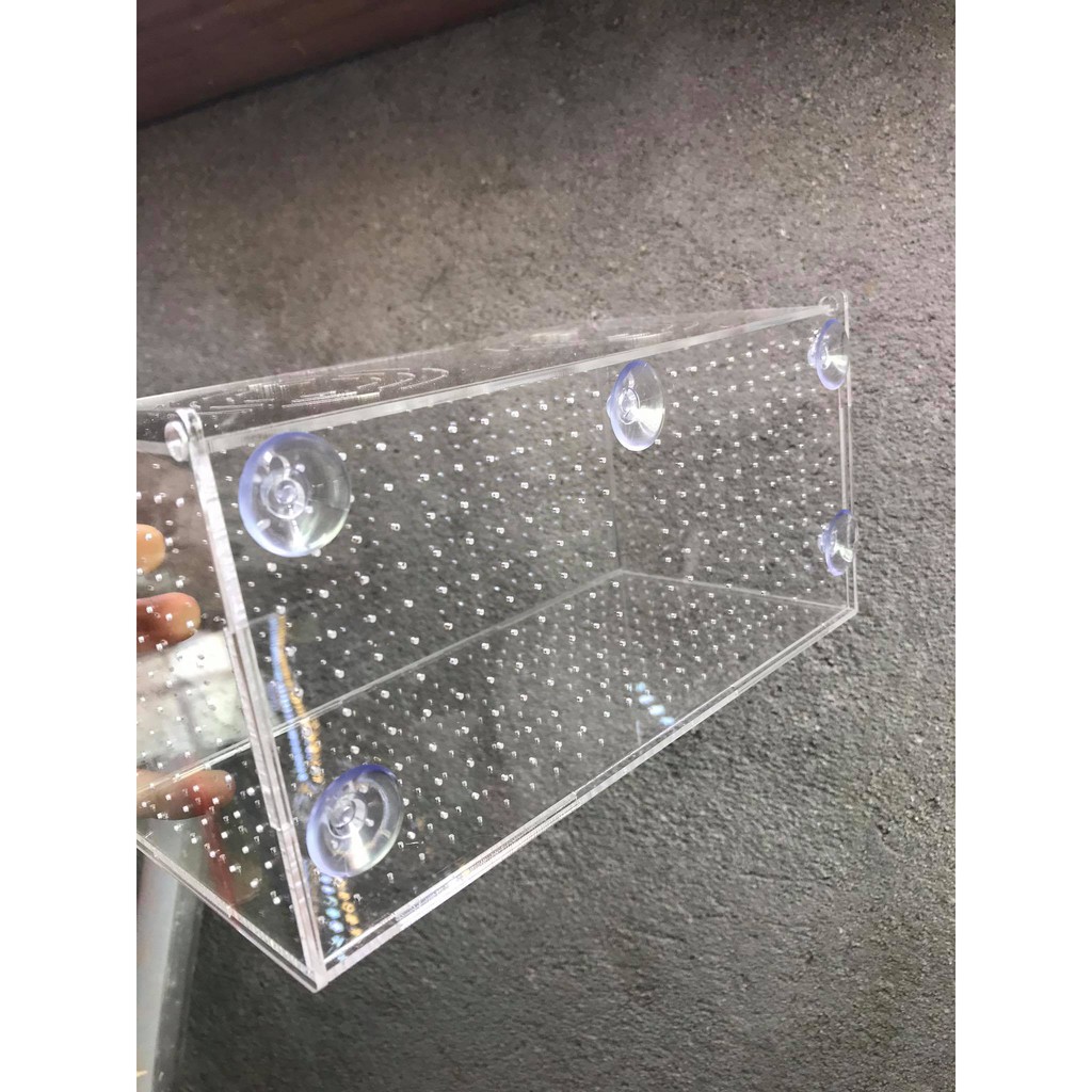 Lồng dưỡng/ box tép cá mica hít kính