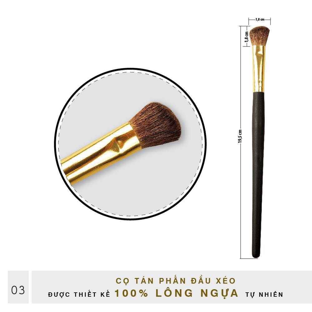 Set Cọ Trang Điểm Mắt Đầu Xéo BEALY