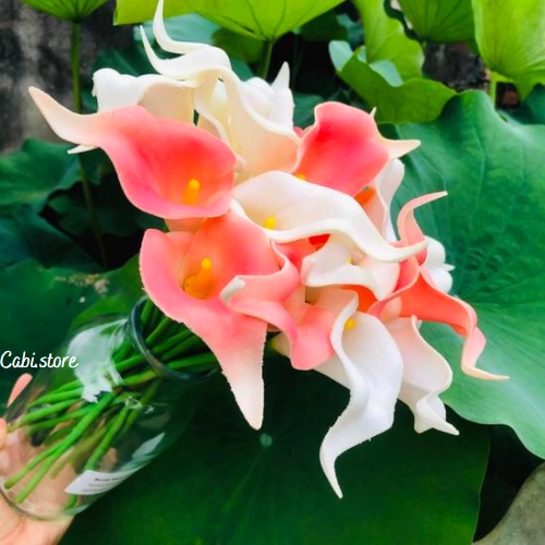 Hoa calla lyli giả chất liệu PU 1 cành 32 cm, hoa rum dùng để trang trí nhà cửa, chụp ảnh.