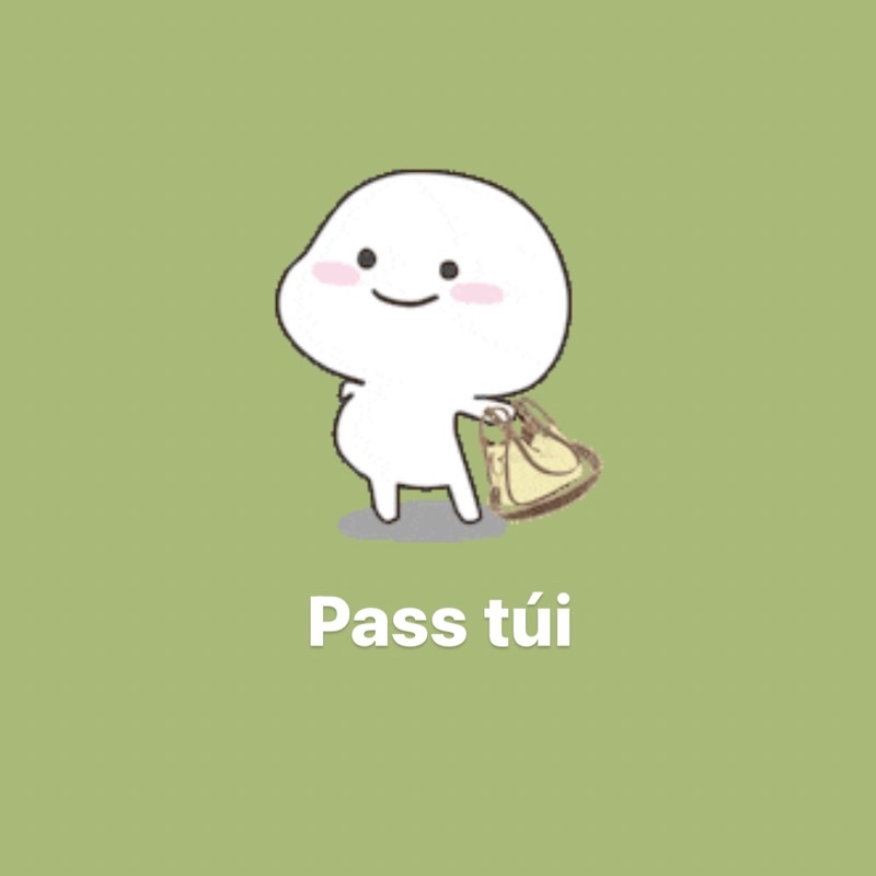 PASS CÁC LOẠI TÚI