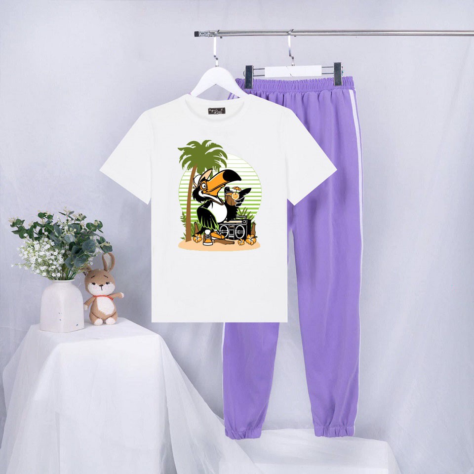 Sét Bộ Quần Áo Ulzzang Mùa Hè Nữ Mặc Đi Chơi Xinh Cute, Áo Phông Cotton Ngắn Tay In 3D Quạ Du Lịch Mix Quần Thun Bo Gấu