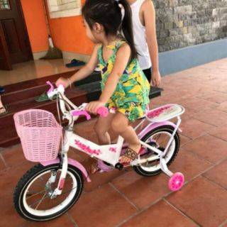 XE ĐẠP KHUNG SẮT VÀNH SẮT CHO BÉ GÁI.