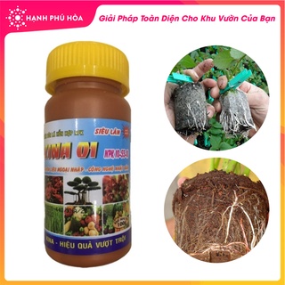 Phân bón lá hỗn hợp Siêu Lân KINA 01 NPK 10-55-10 giúp Kích rễ - Đẻ nhánh - Tạo nhiều hoa - Tăng đậu trái