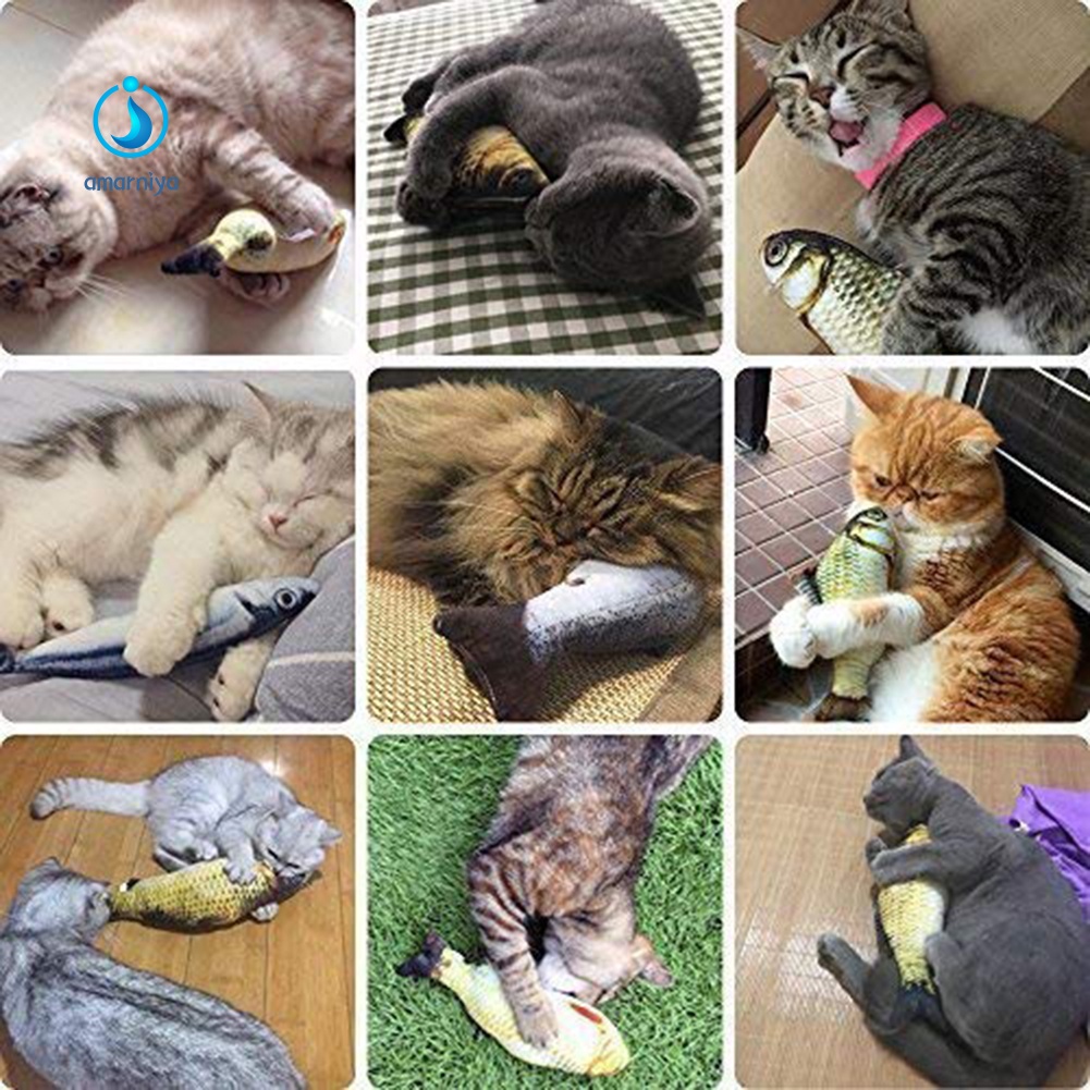 Cá Chép Nhồi Bông Đồ Chơi Dành Cho Mèo