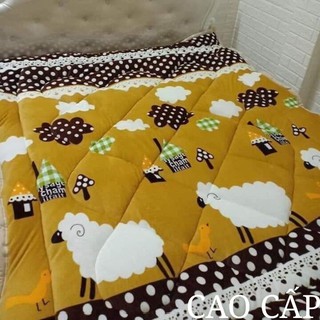 [Freeship - Xả kho cắt lỗ] Chăn lông cừu 3 lớp nặng 2.9kg dài m8x2m dày siêu ấm hàng Việt Nam loại 1