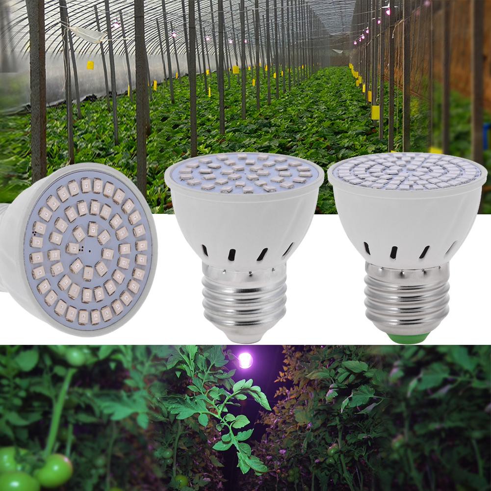 Bóng Đèn Led Kích Thích Tăng Trưởng Cho Thực Vật E27 2835 Smd