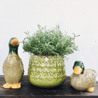 Tượng gốm vịt nâu decor trang trí Tròn Tròn Saigon