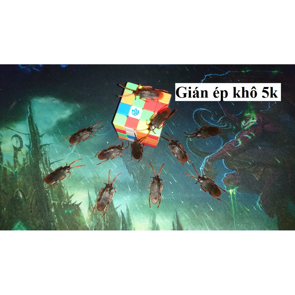 10 con Gián giả