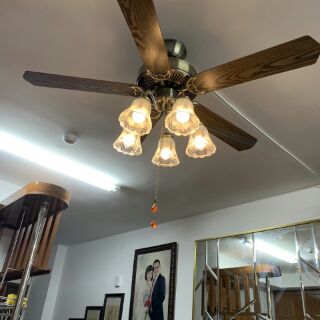 Quạt trần đèn
