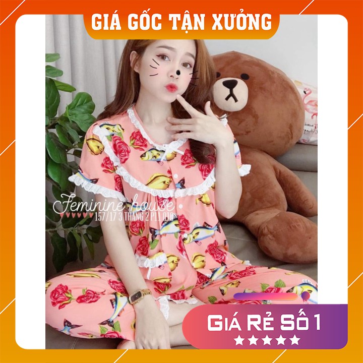 [Ảnh thật tự chụp] SET BỘ SIÊU CƯNG | BigBuy360 - bigbuy360.vn