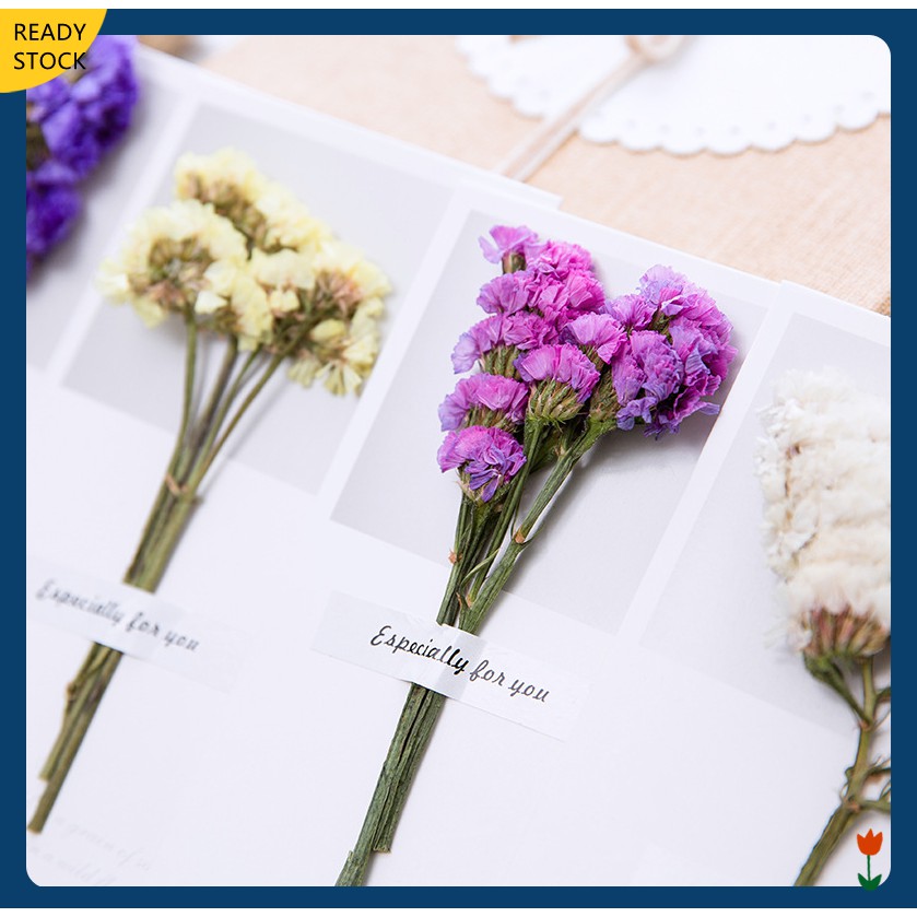 1pc Thẻ Feliciplophila Khô / Ngày Của Mẹ