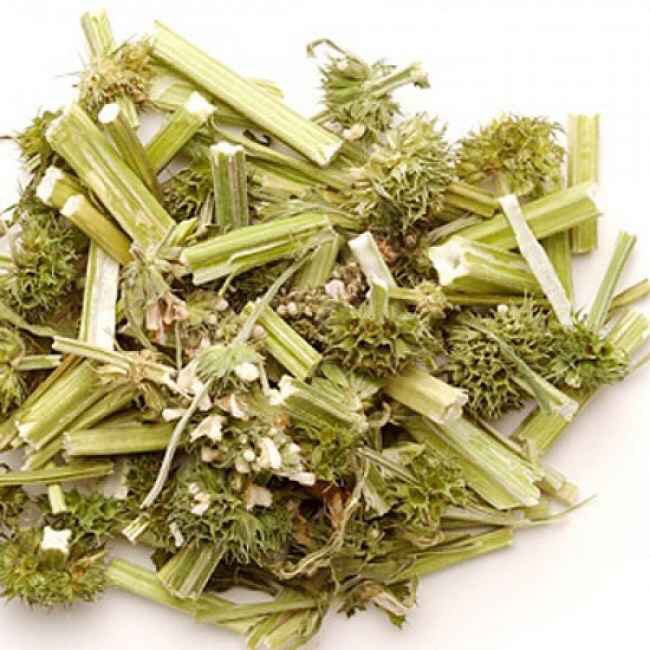 Cao ích mẫu nguyên chất 100 gram