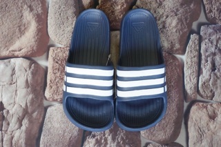 Dép nam adidas