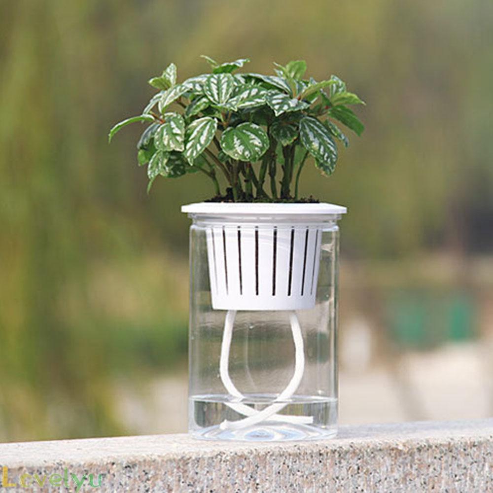 Chậu Cây Resin PP Trong Suốt Tự Tưới Nước