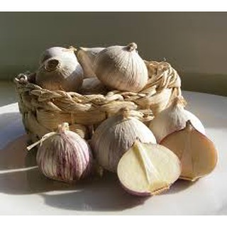 [FREE SHIP từ 99K] COMBO 2KG TỎI CÔ ĐƠN LÀM TỎI ĐEN LOẠI 1