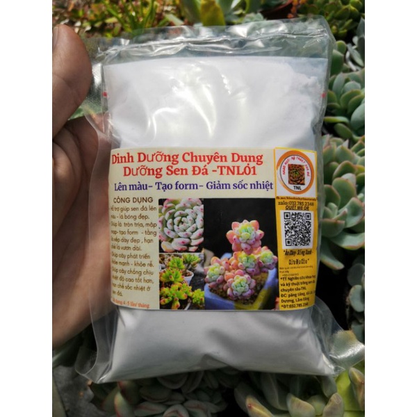 Combo 4 sản phẩm chuyên dụng cho sen đá _ xương rồng TNL