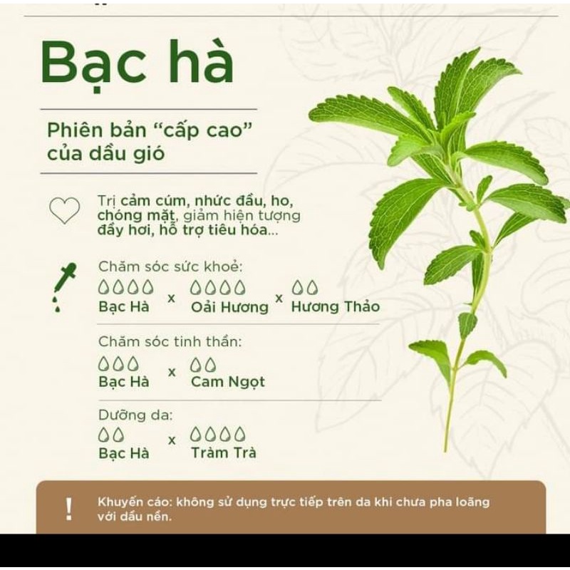 Tinh dầu Bạc Hà Peppermint Essential Oil ,xuất sứ thiên nhiên không pha tạp chất, có giấy kiểm định COA