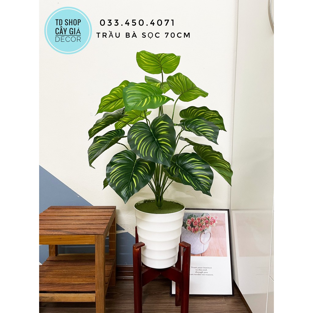 CÂY TRẦU BÀ SỌC 70CM- CÂY GIẢ