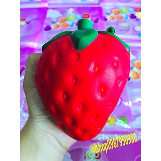 SQUISHY QUẢ DÂU TÂY ĐỎ - DÂU NHIỀU MÀU
