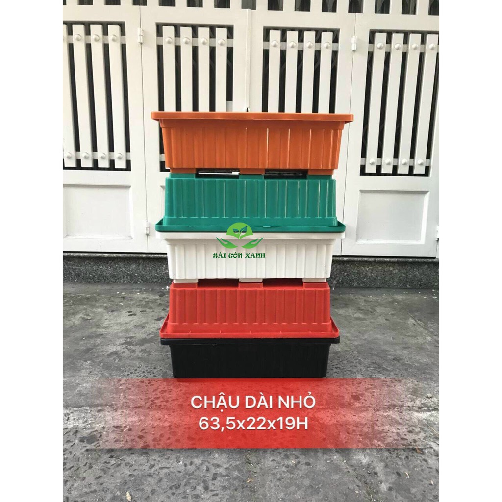 10 Chậu Nhựa Thông Minh Trồng Rau Sạch, Nuôi Cá Guppy (KT: 63.5cm x22cm x19cm)