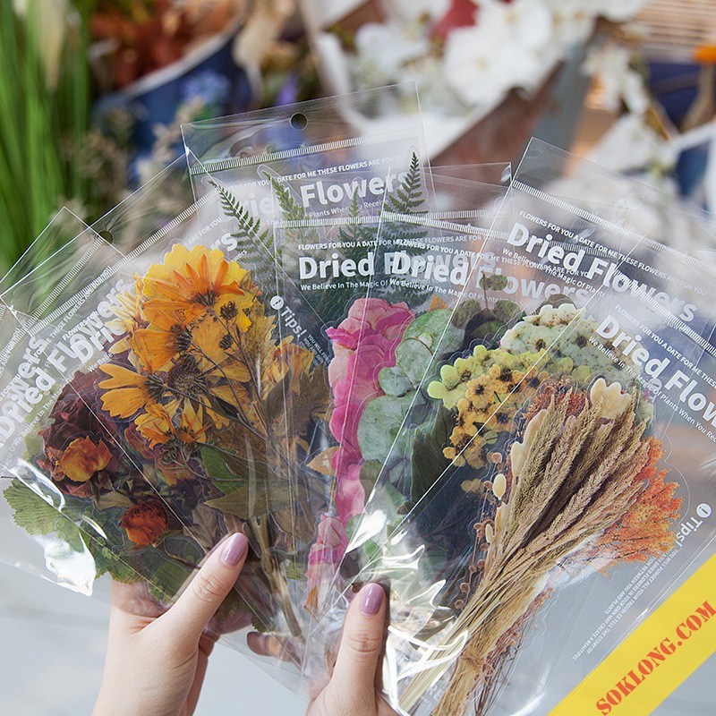 Bộ 6 hoa lá khô STI13, sticker trang trí album, sổ tay Tuệ Minh