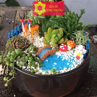 Phụ kiện làm tiểu cảnh sen đá xương rồng- cặp song hưu - song bạch hạc