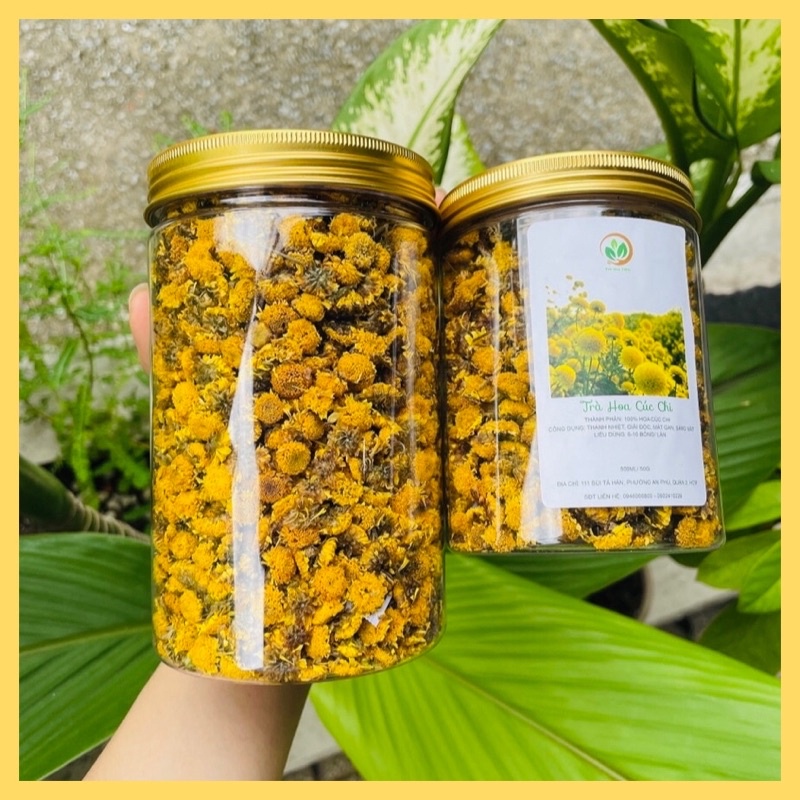 Trà hoa cúc chi-Chrysanthemum tea