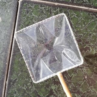 Vợt bắt cá thủy sinh, vợt vớt nước