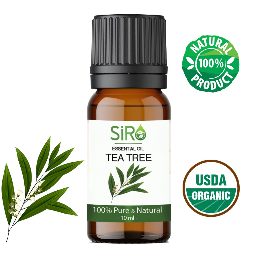 TINH DẦU TRÀM TRÀ TEA TREE