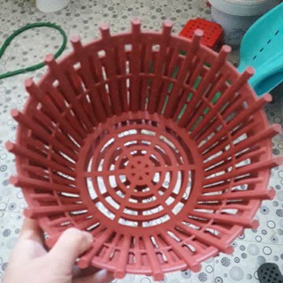10 Chậu nhựa trồng lan cao cấp đường kính 20cm