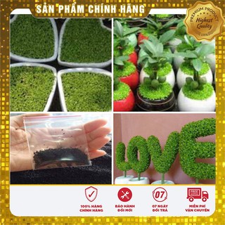 Bộ 2 gói hạt giống cỏ may mắn