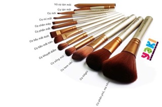 Set cọ Naked3