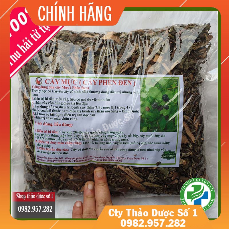 Cây mực – Phèn đen vị thuốc điều trị suy thận, thận hư - 1kg  CTY Thảo Dược Số 1 - TDSO1