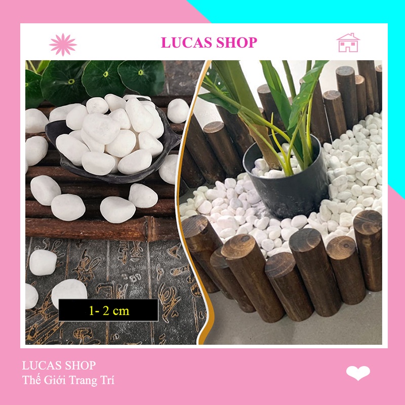 Đá/Sỏi Cao Cấp Decor Chậu Cây Cảnh, Bể Cá, Tiểu Cảnh, Lót Nền Sân Vườn Siêu Xinh