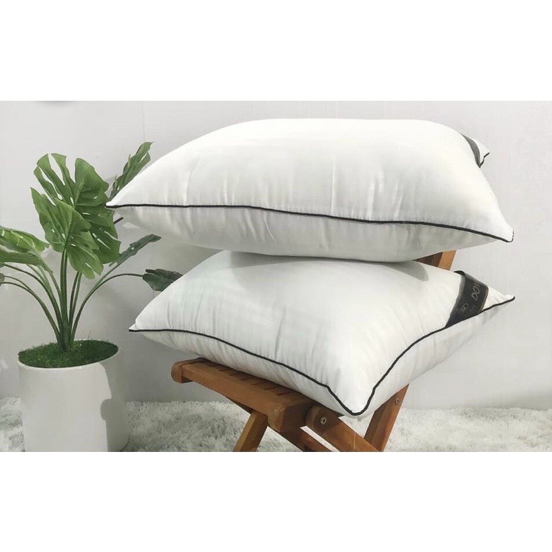 Ruột gối nhập khẩu thế hệ mới kích thước 45cmx 65cm